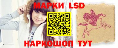 стаф Шелехов