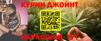 стаф Шелехов