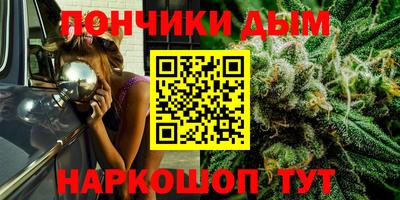 стаф Шелехов