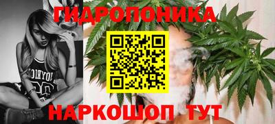 Альфа ПВП Шахты