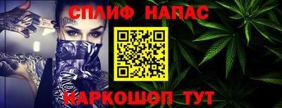 стаф Шелехов