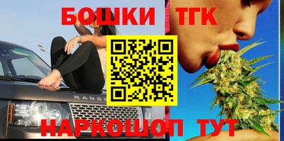 стаф Шелехов