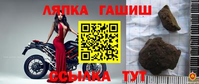 стаф Шелехов
