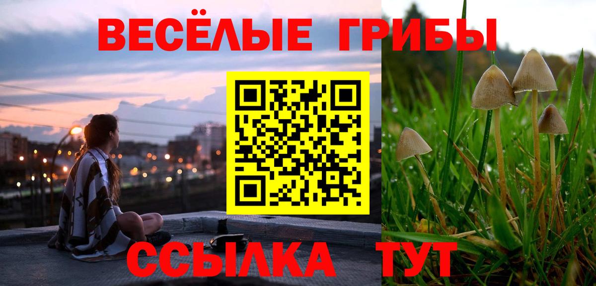 Галлюциногенные грибы Cubensis Горячий Ключ