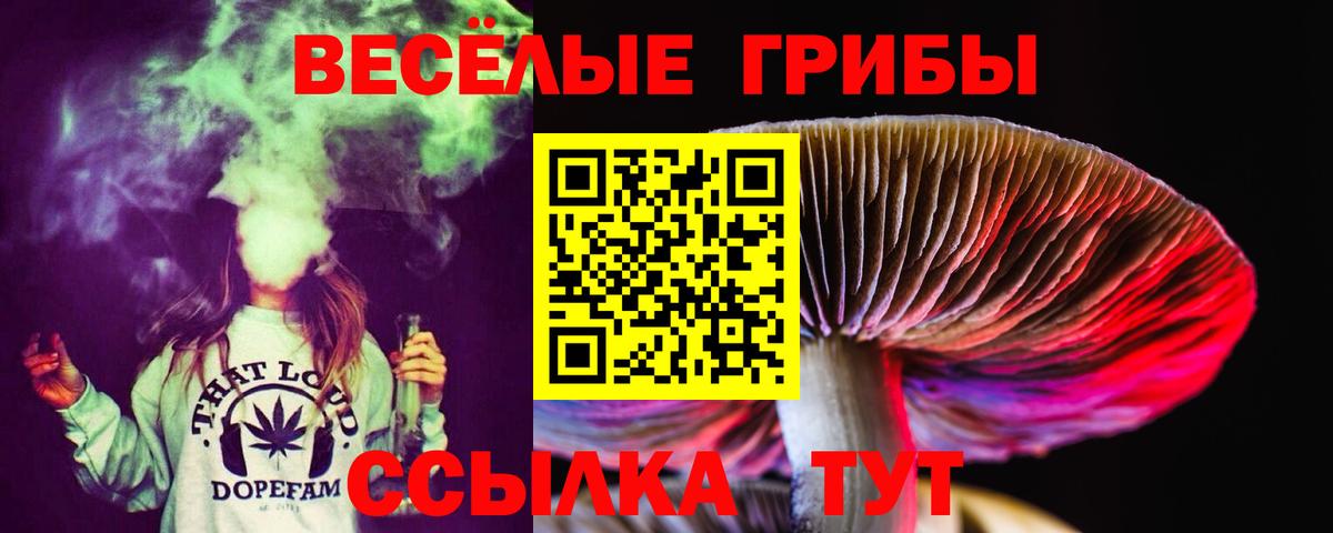 Псилоцибиновые грибы Magic Shrooms  Вход с VPN  Псилоцибиновые грибы Cubensis  Горячий Ключ 